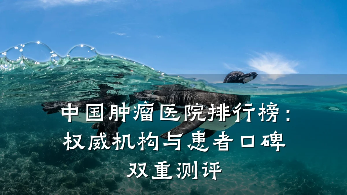 中国肿瘤医院排行榜:权威机构与患者口碑双重测评