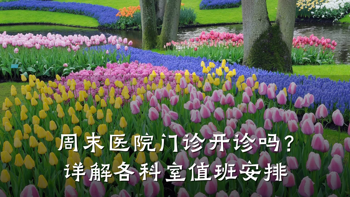 周末医院门诊开诊吗？详解各科室值班安排