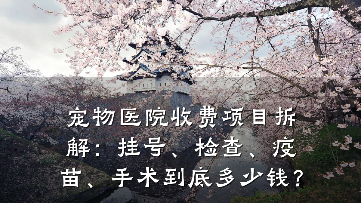 宠物医院收费项目拆解:挂号、检查、疫苗、手术到底多少钱?