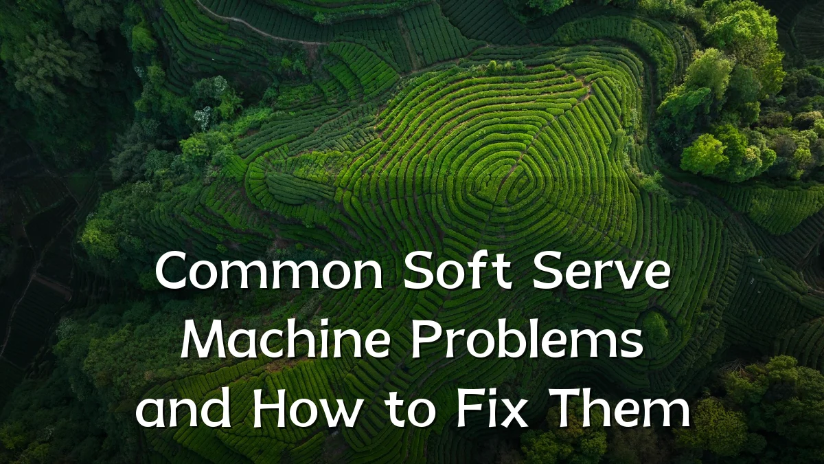 Common Soft Serve Machine Problems and How to Fix Them