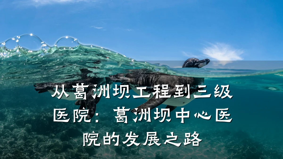 从葛洲坝工程到三级医院:葛洲坝中心医院的发展之路