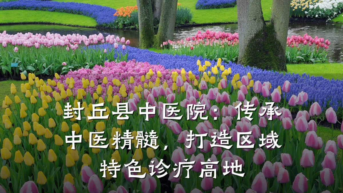 封丘县中医院:传承中医精髓,打造区域特色诊疗高地