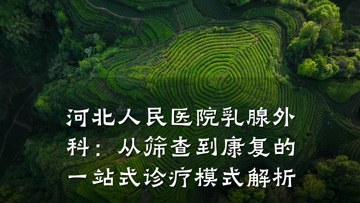 河北人民医院乳腺外科：从筛查到康复的一站式诊疗模式解析