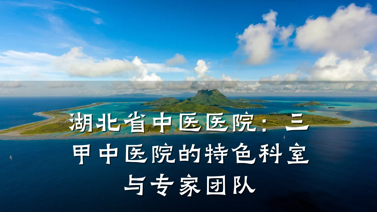 湖北省中医医院：三甲中医院的特色科室与专家团队