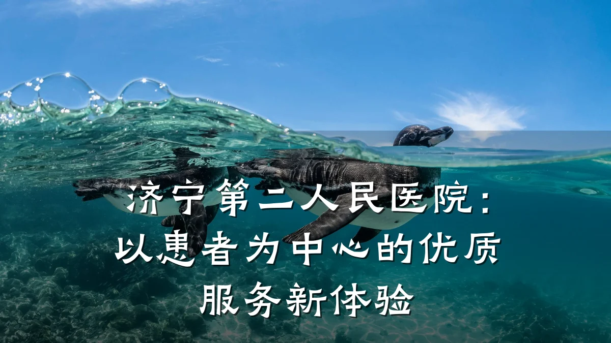 济宁第二人民医院:以患者为中心的优质服务新体验