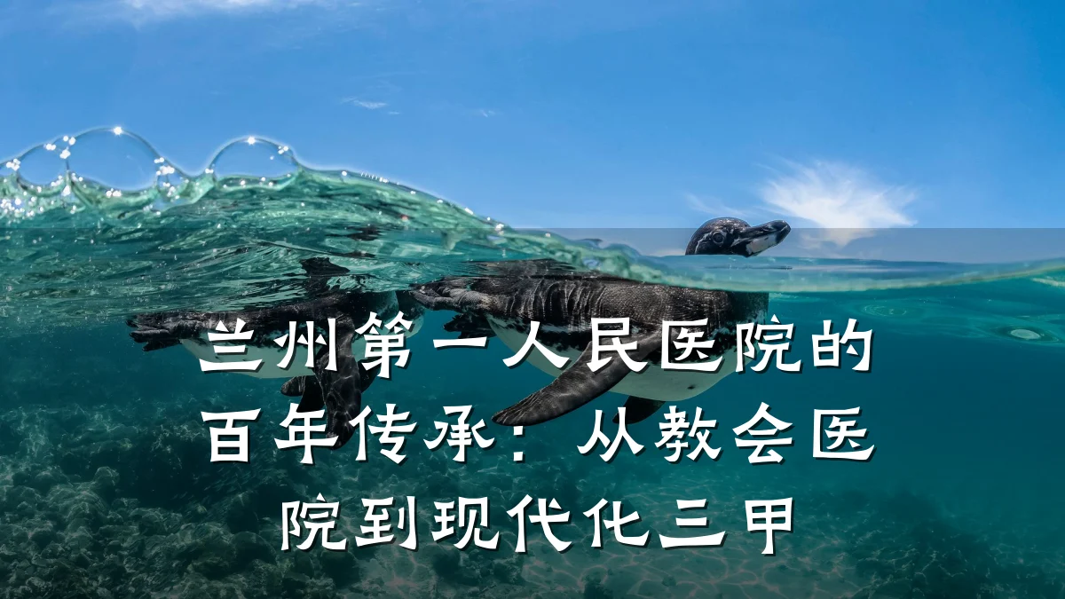兰州第一人民医院的百年传承:从教会医院到现代化三甲