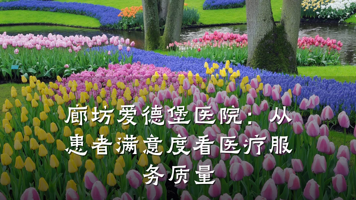 廊坊爱德堡医院：从患者满意度看医疗服务质量
