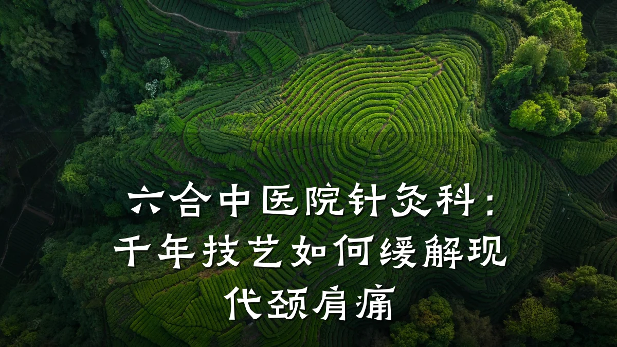 六合中医院针灸科:千年技艺如何缓解现代颈肩痛