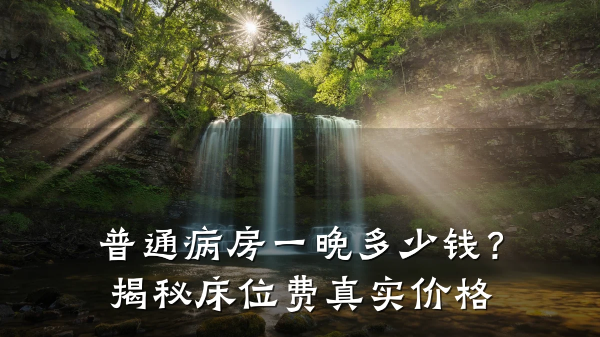普通病房一晚多少钱?揭秘床位费真实价格