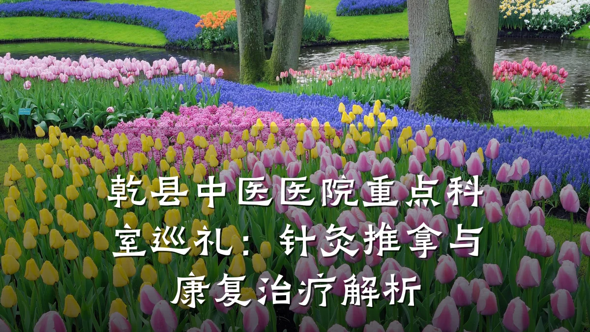 乾县中医医院重点科室巡礼:针灸推拿与康复治疗解析