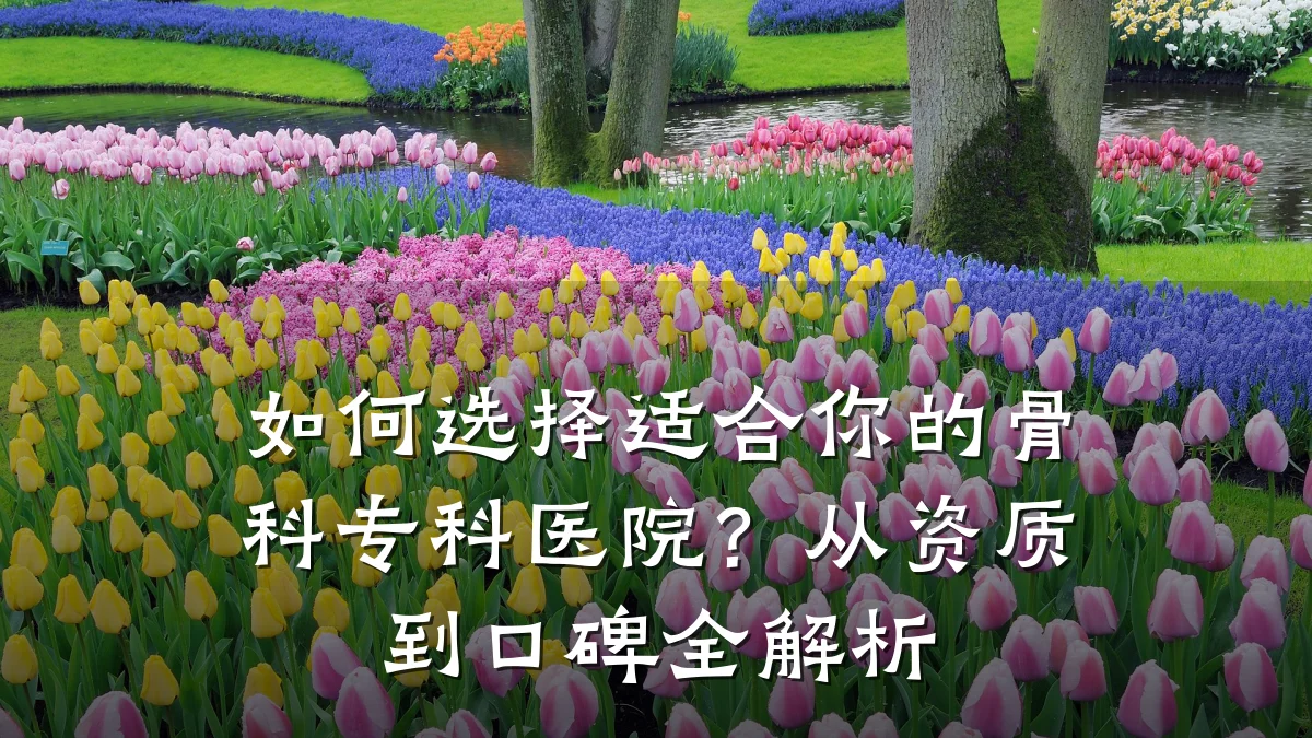 如何选择适合你的骨科专科医院?从资质到口碑全解析