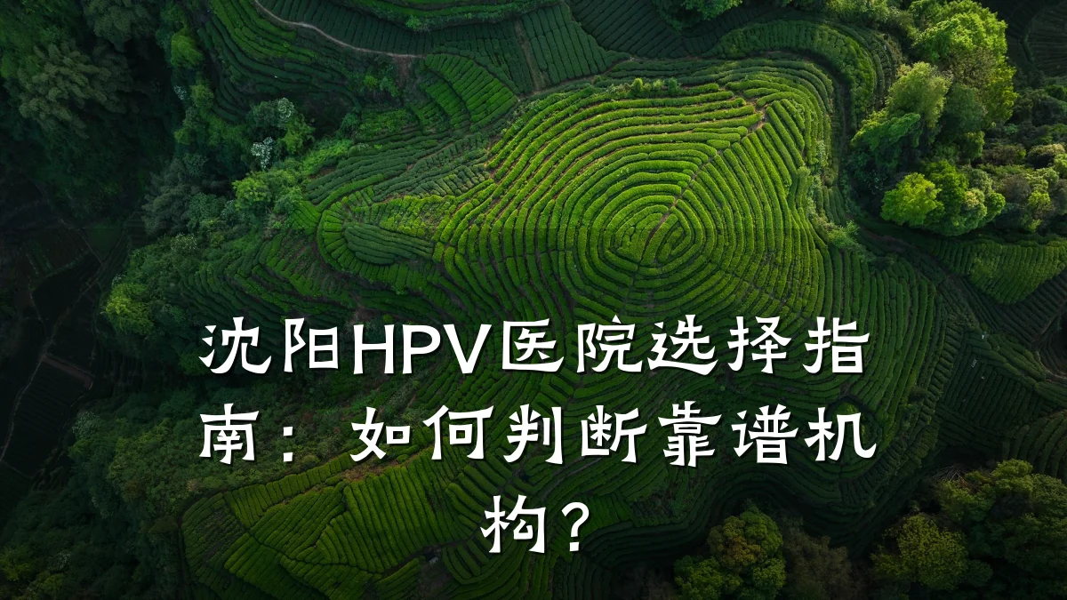 沈阳HPV医院选择指南:如何判断靠谱机构?
