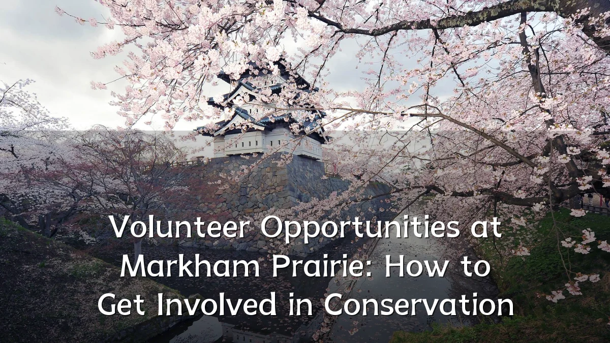 Volunteer Opportunities at Markham Prairie: How to Get Involved in Conservation