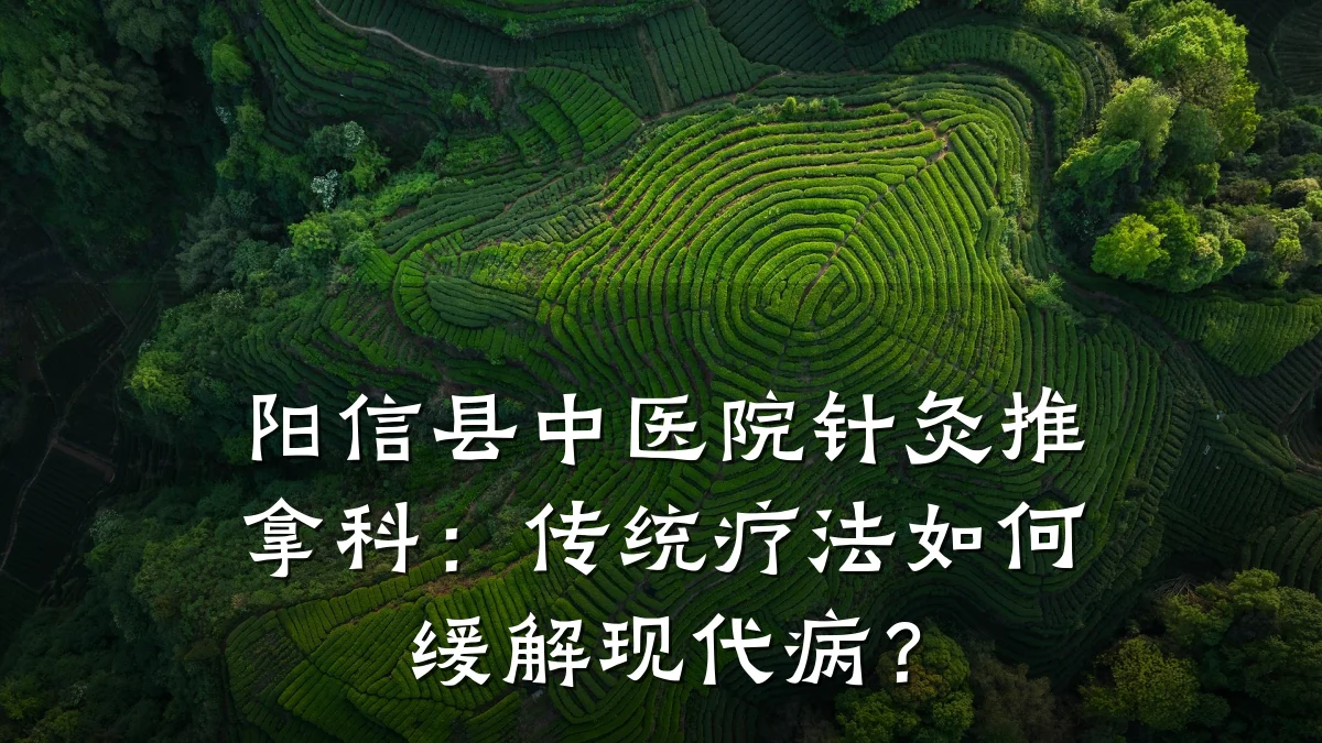 阳信县中医院针灸推拿科:传统疗法如何缓解现代病?