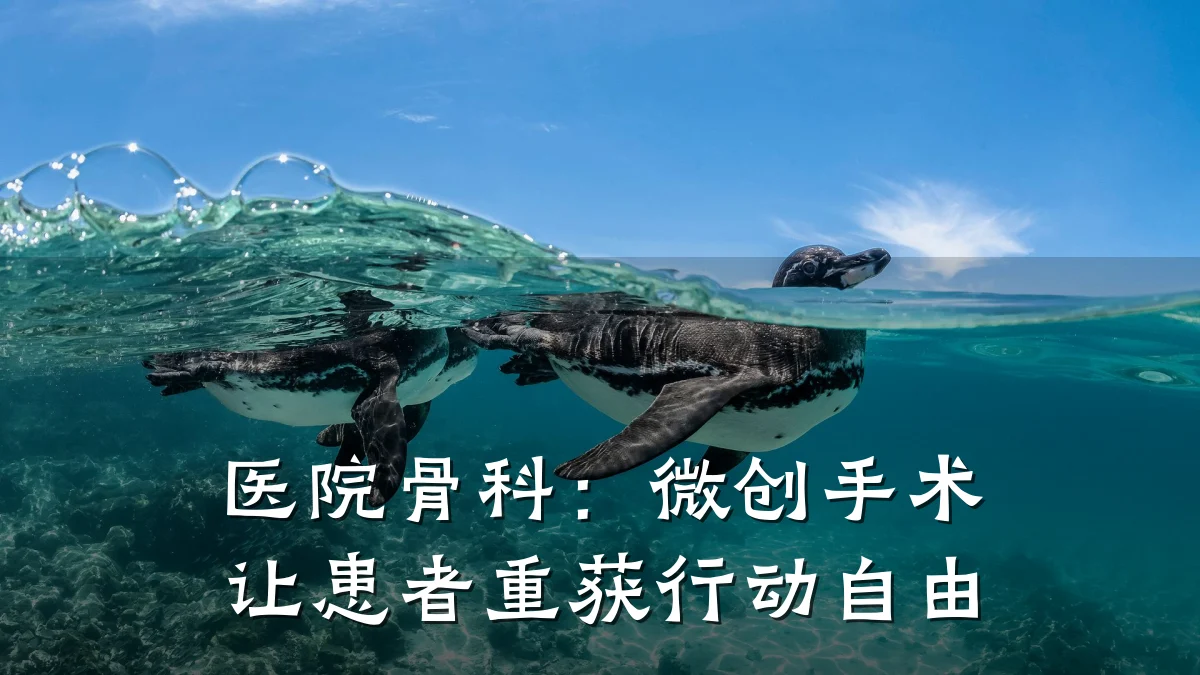 医院骨科：微创手术让患者重获行动自由