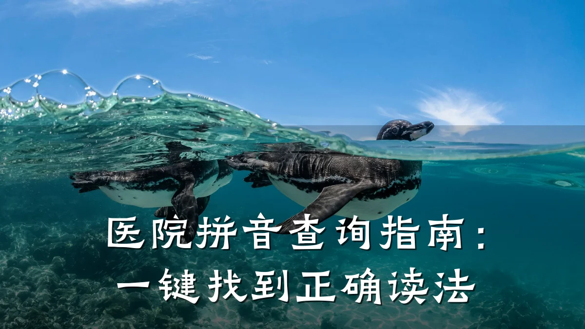 医院拼音查询指南：一键找到正确读法