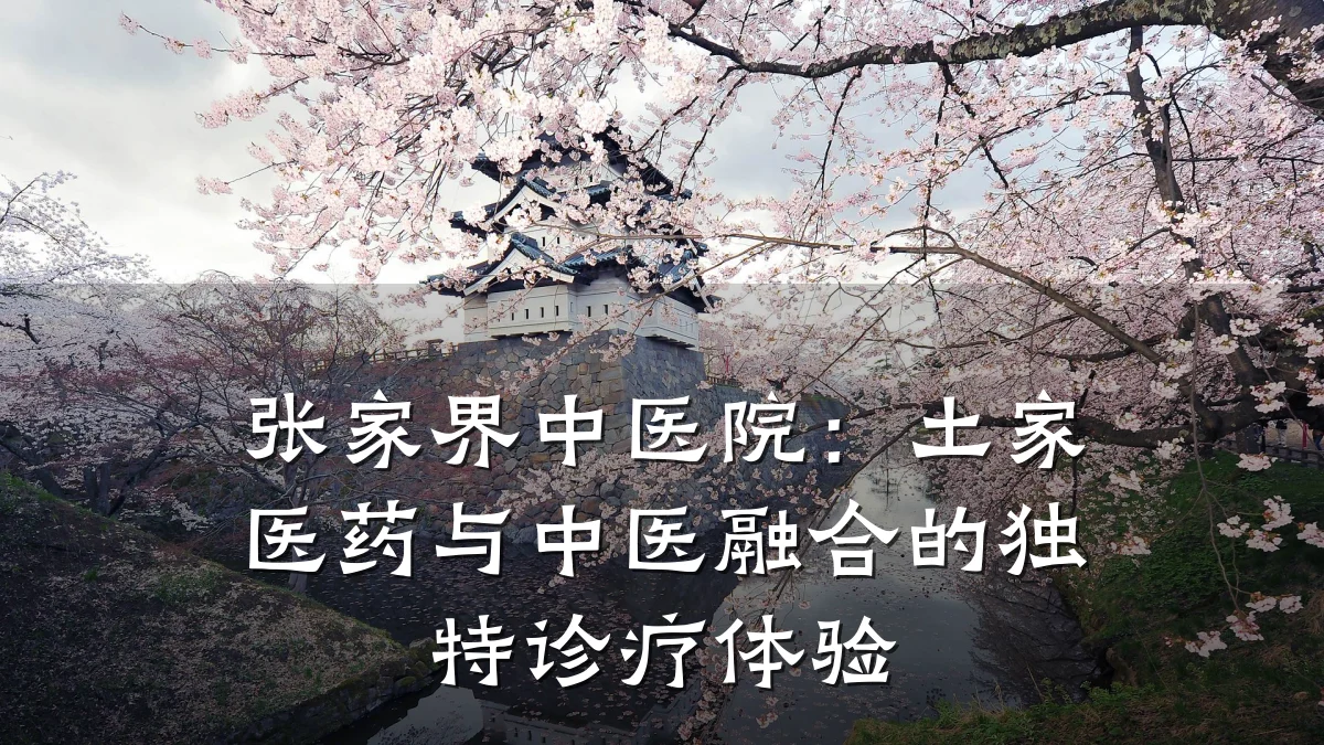 张家界中医院:土家医药与中医融合的独特诊疗体验