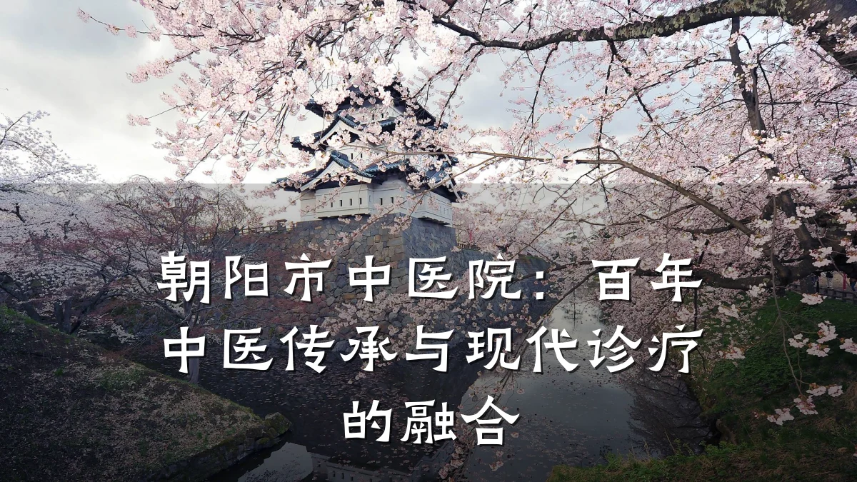 朝阳市中医院：百年中医传承与现代诊疗的融合