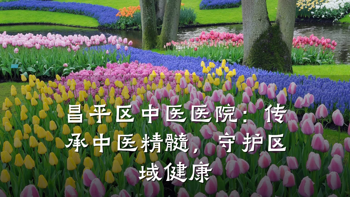 昌平区中医医院:传承中医精髓,守护区域健康