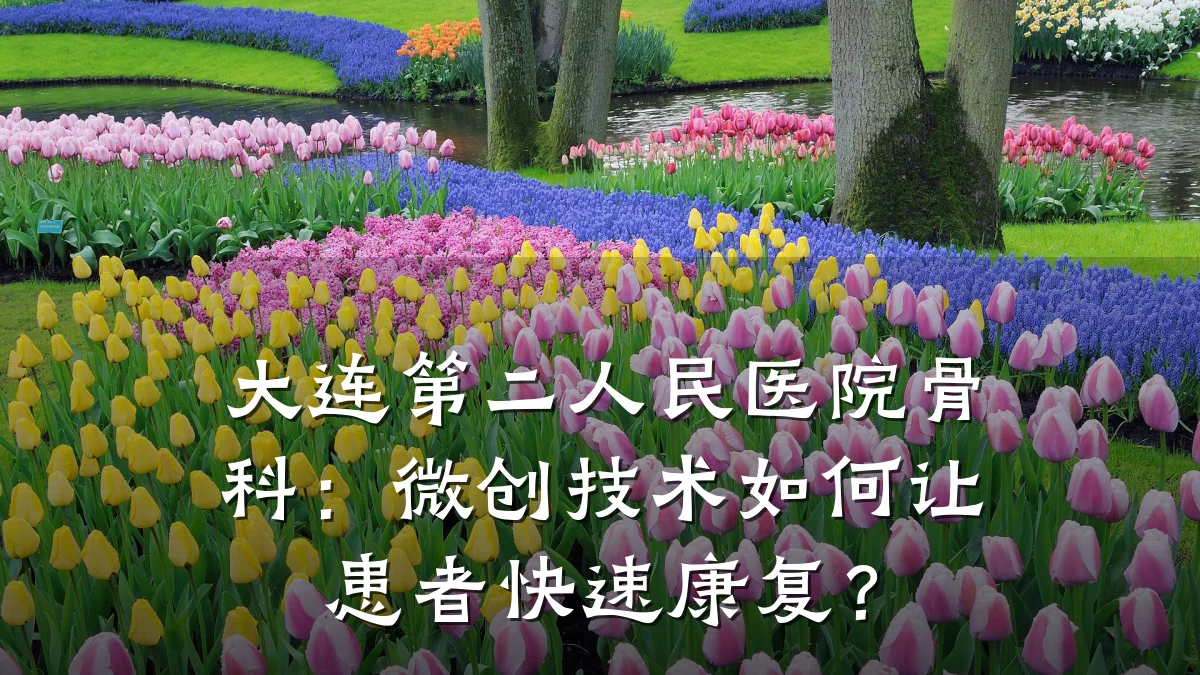 大连第二人民医院骨科:微创技术如何让患者快速康复?