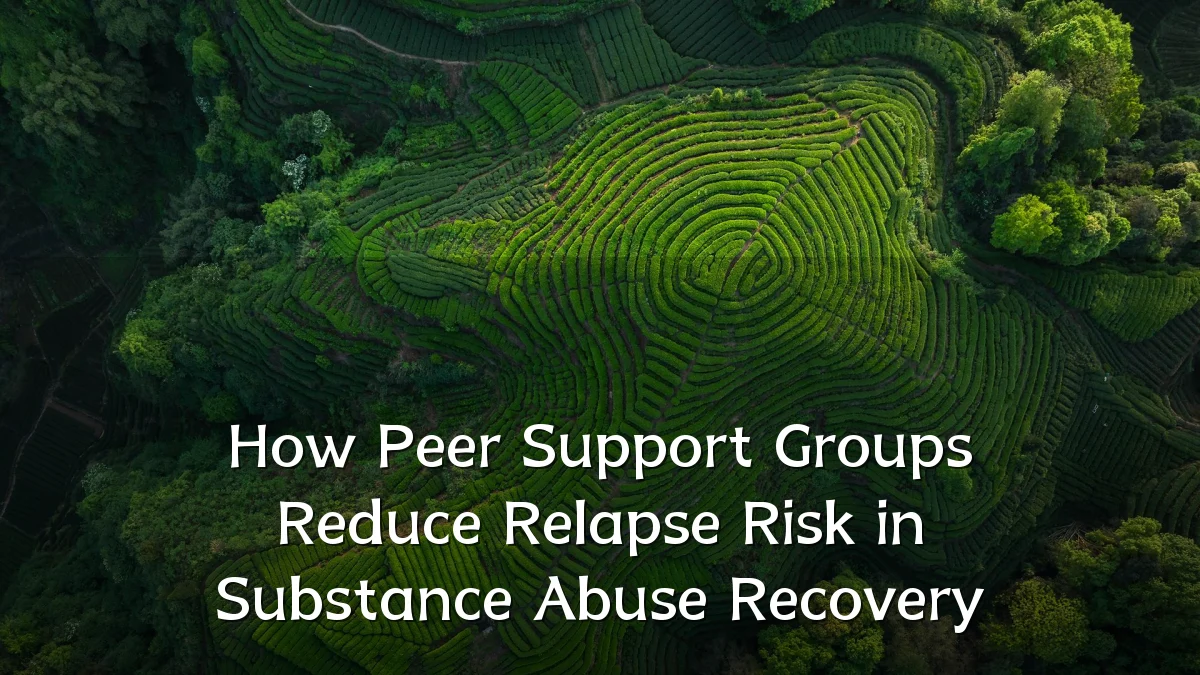 How Peer Support Groups Reduce Relapse Risk in Substance Abuse Recovery