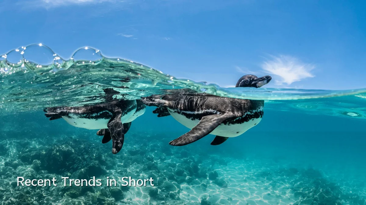 Recent Trends in Short