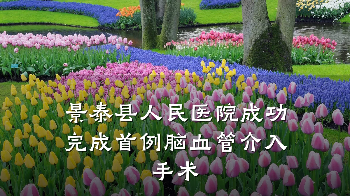 景泰县人民医院成功完成首例脑血管介入手术