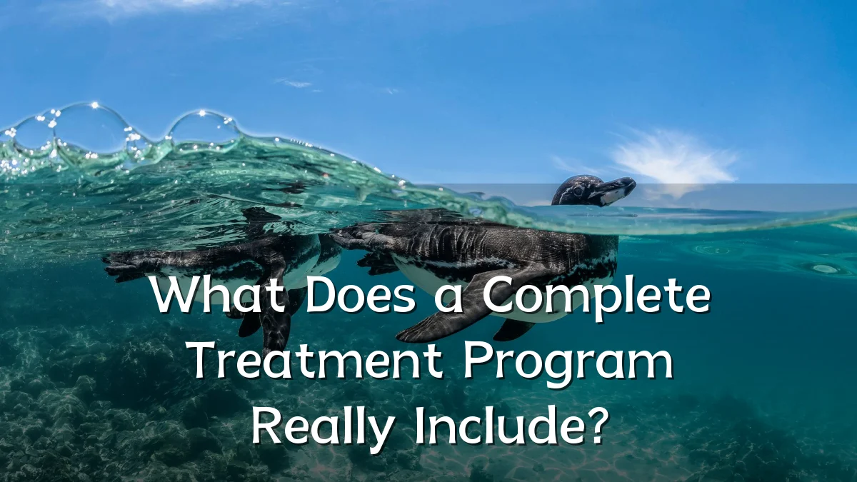 What Does a Complete Treatment Program Really Include?