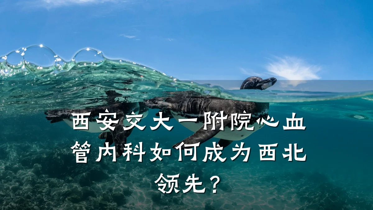 西安交大一附院心血管内科如何成为西北领先？