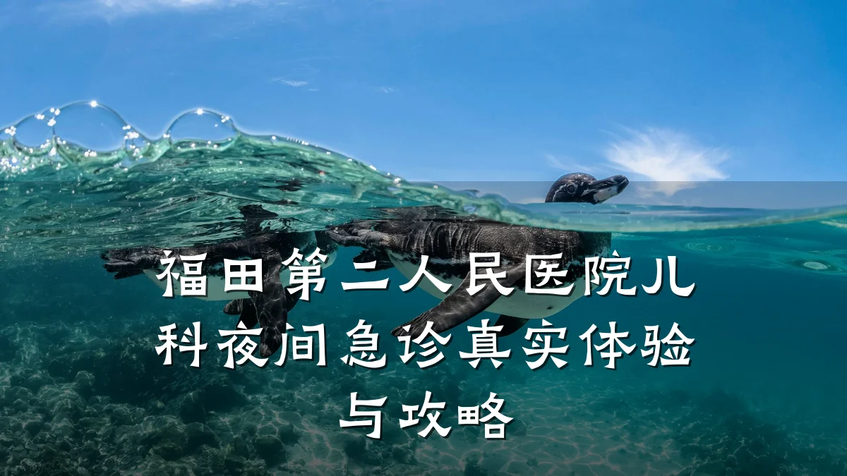 福田第二人民医院儿科夜间急诊真实体验与攻略