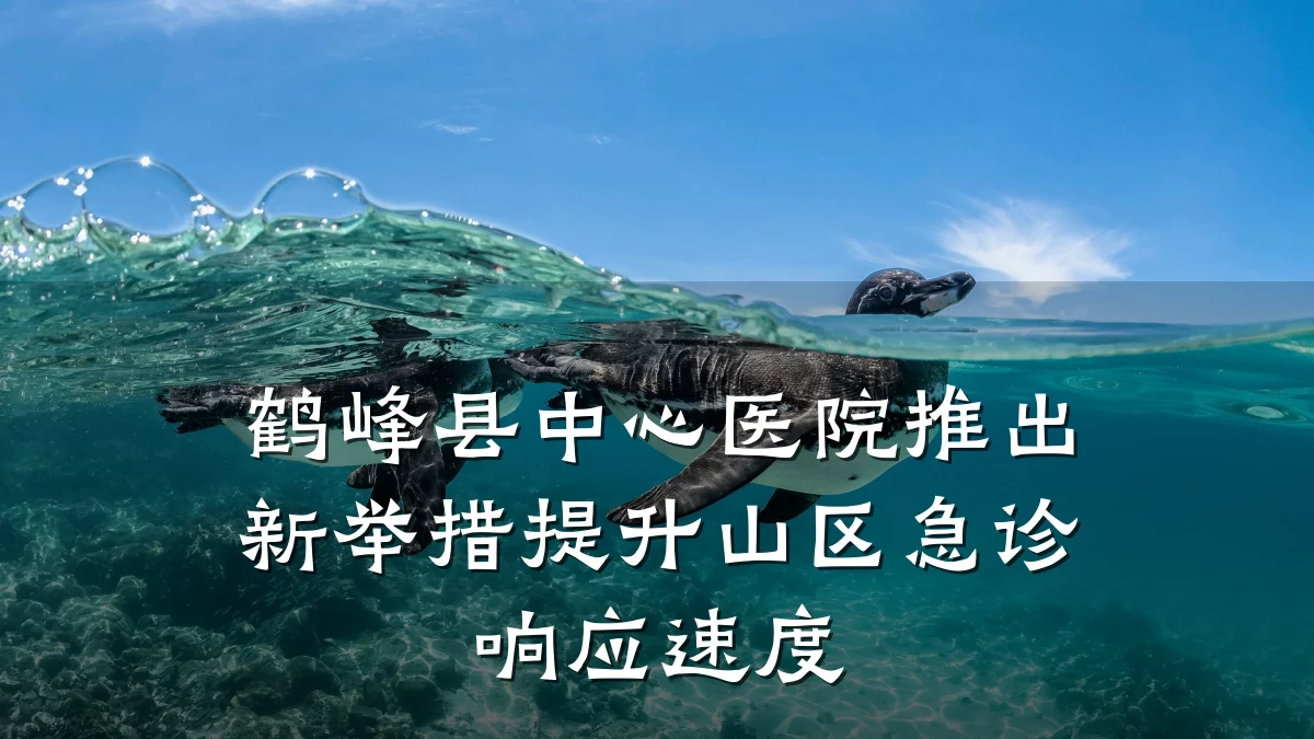 鹤峰县中心医院推出新举措提升山区急诊响应速度