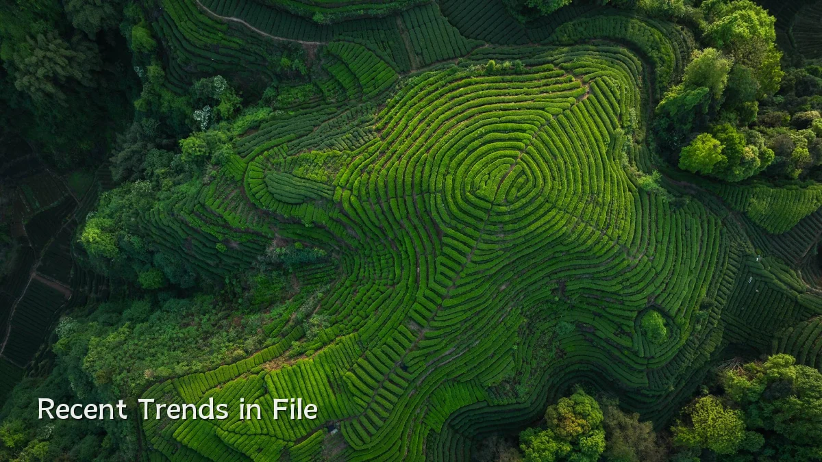 Recent Trends in File