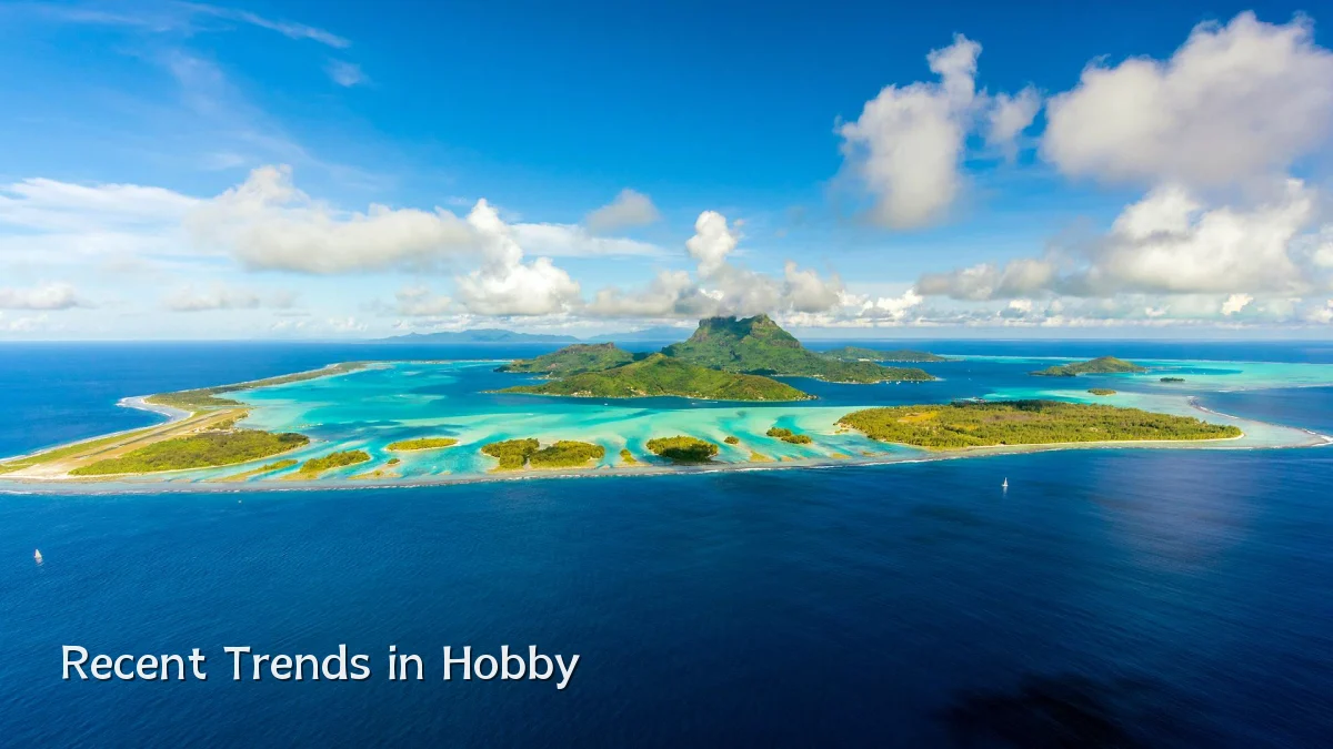 Recent Trends in Hobby