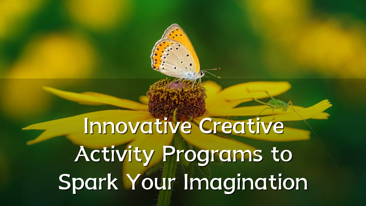 Innovative Creative Activity Programs to Spark Your Imagination
