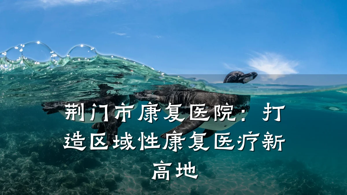 荆门市康复医院:打造区域性康复医疗新高地
