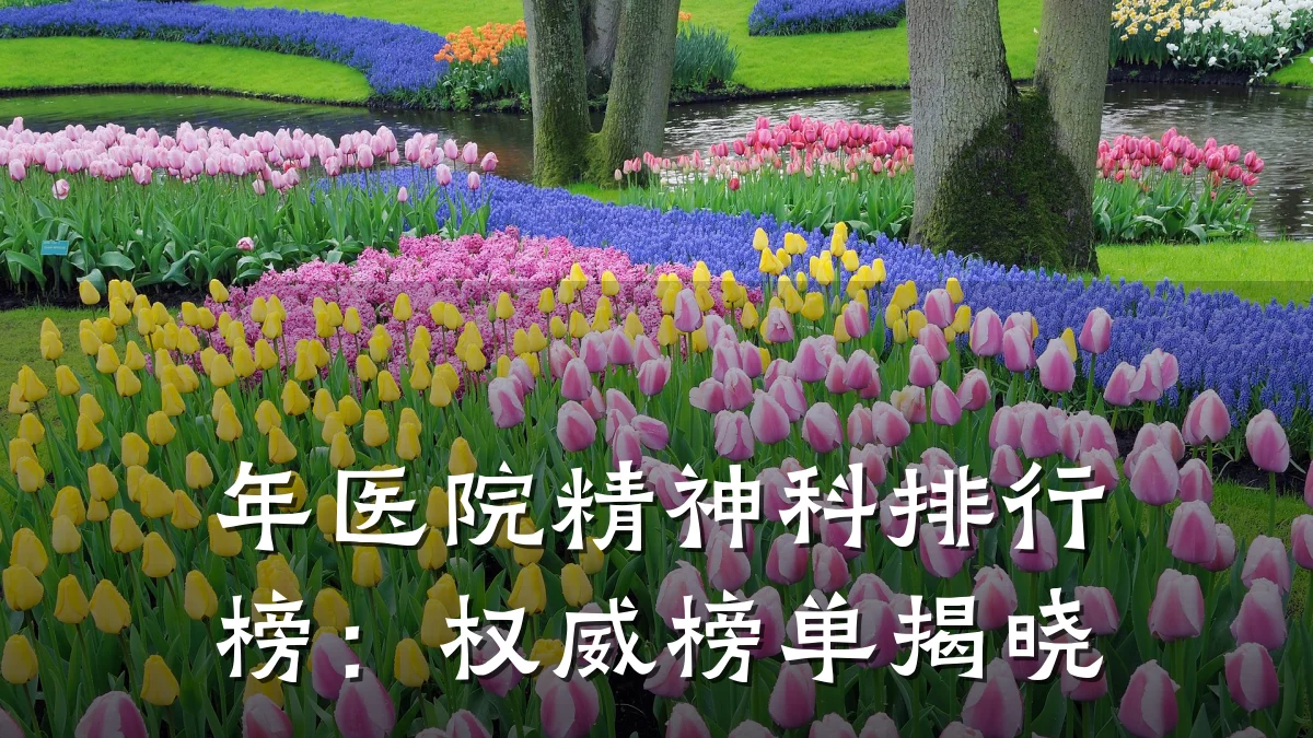 年医院精神科排行榜:权威榜单揭晓