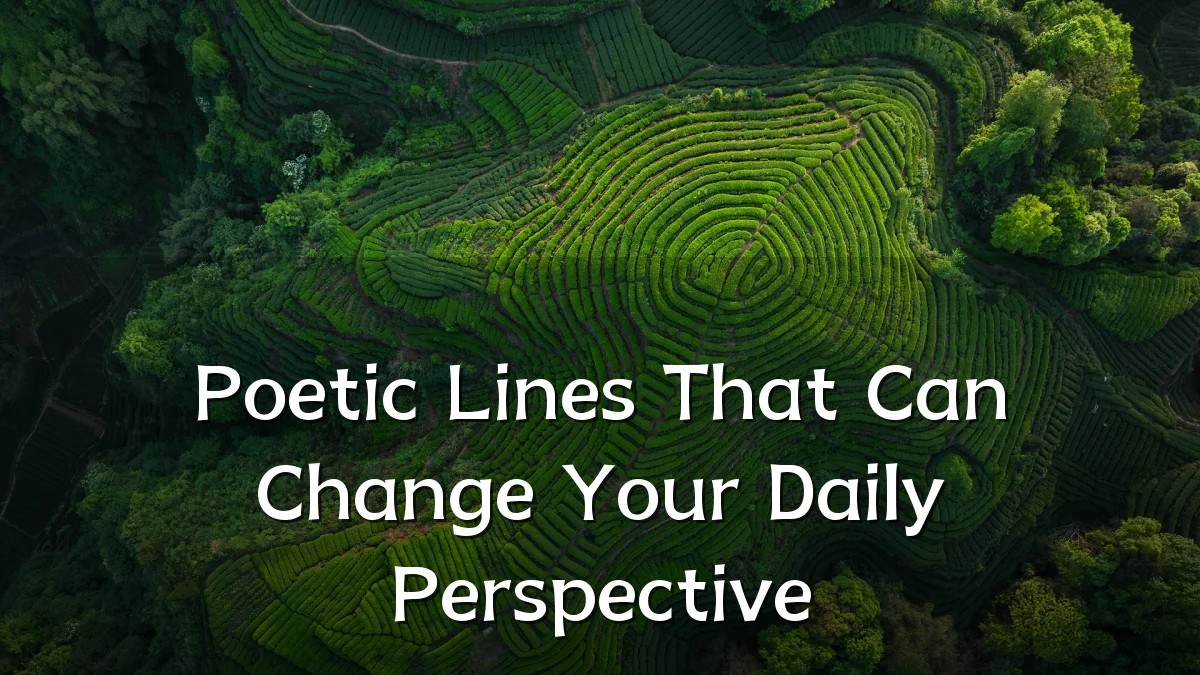 Poetic Lines That Can Change Your Daily Perspective