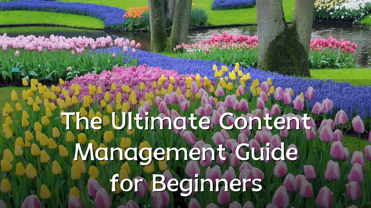 The Ultimate Content Management Guide for Beginners