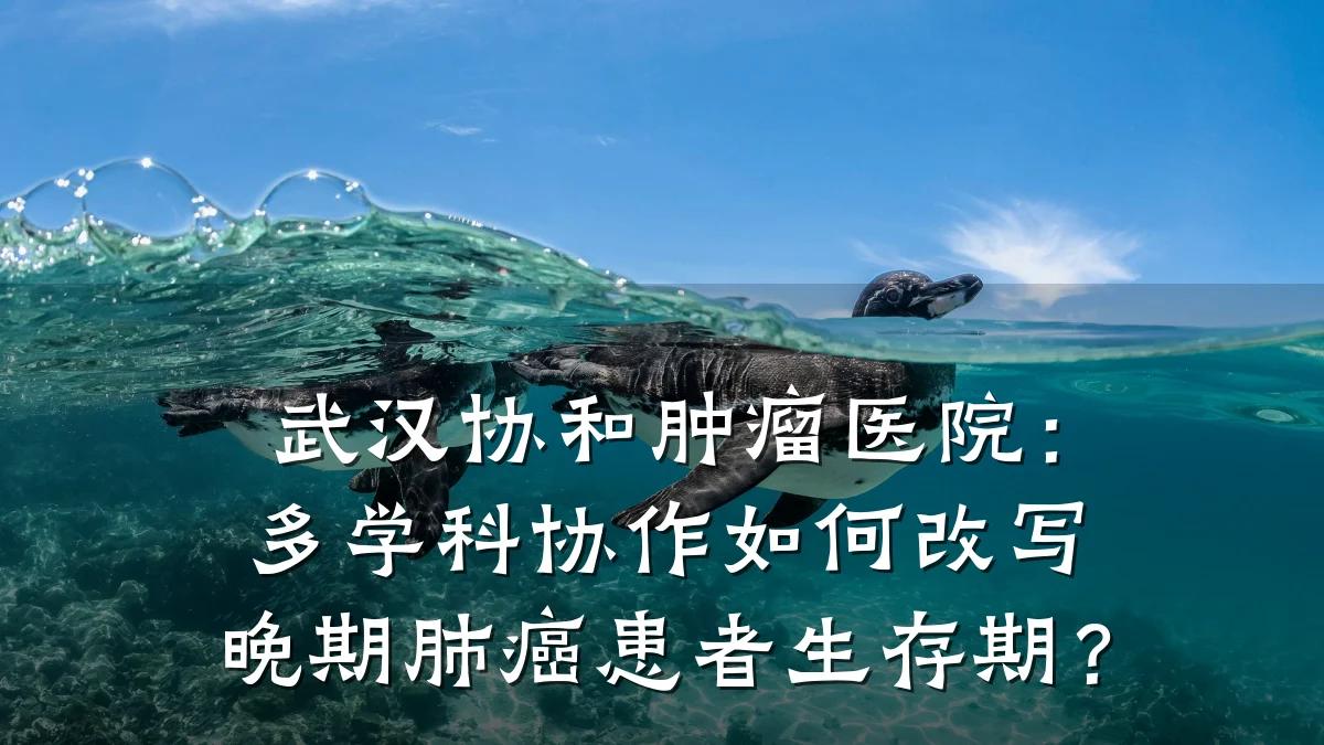 武汉协和肿瘤医院:多学科协作如何改写晚期肺癌患者生存期?