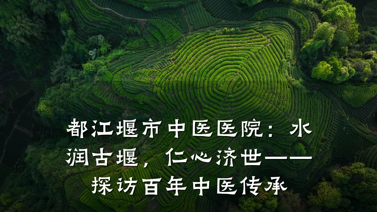 都江堰市中医医院：水润古堰，仁心济世——探访百年中医传承