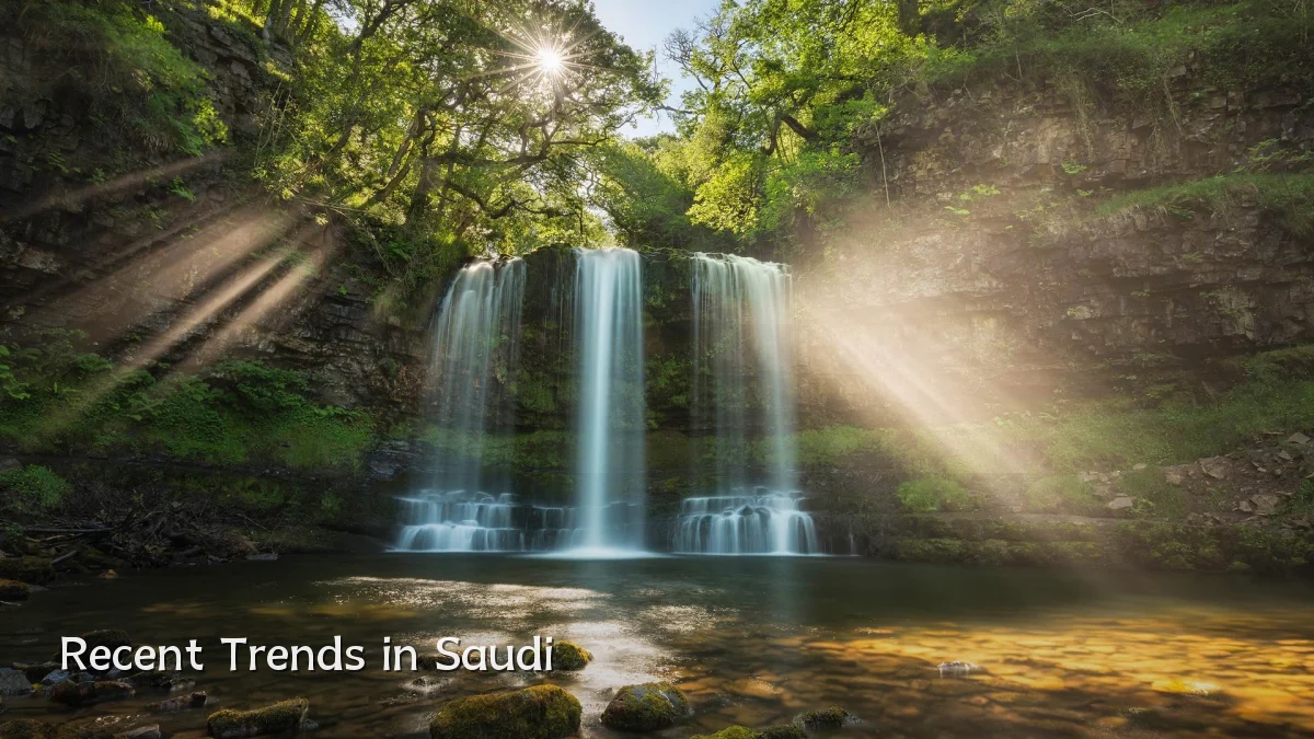 Recent Trends in Saudi
