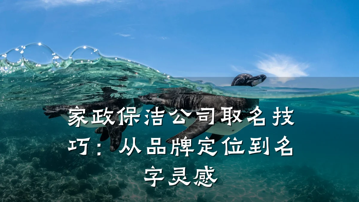 家政保洁公司取名技巧:从品牌定位到名字灵感