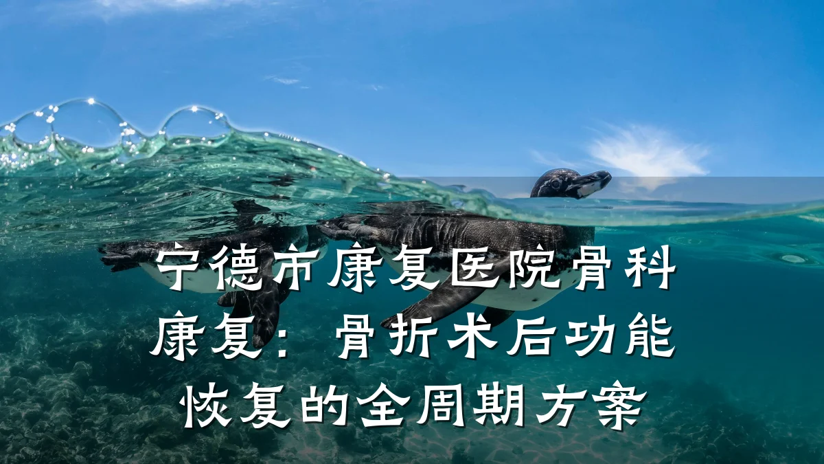 宁德市康复医院骨科康复:骨折术后功能恢复的全周期方案