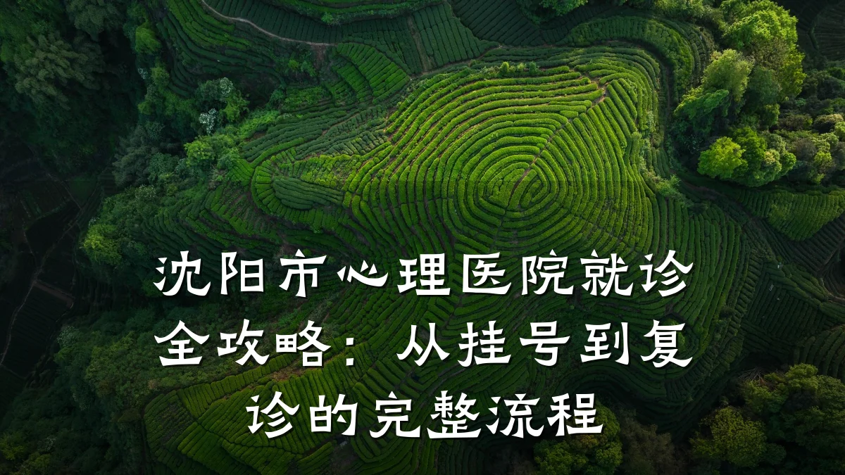 沈阳市心理医院就诊全攻略：从挂号到复诊的完整流程