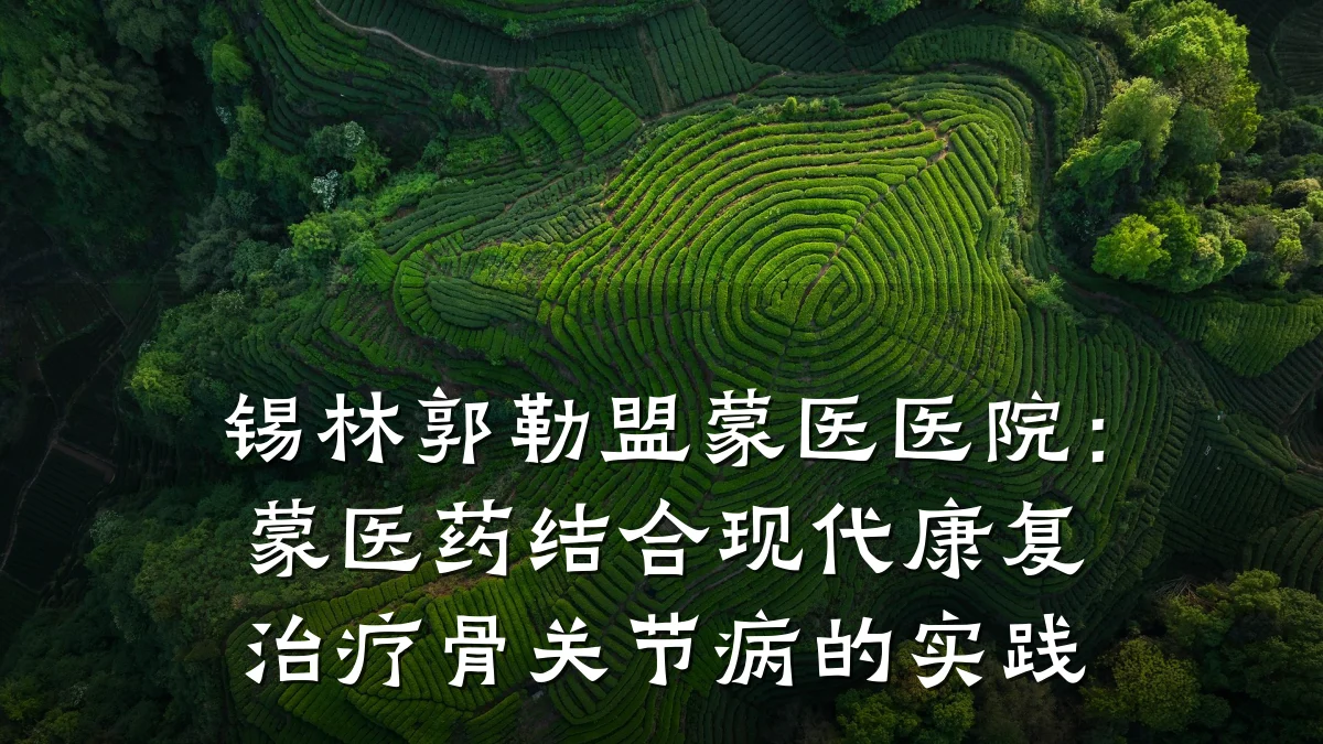 锡林郭勒盟蒙医医院:蒙医药结合现代康复治疗骨关节病的实践