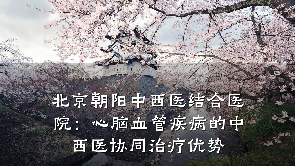 北京朝阳中西医结合医院:心脑血管疾病的中西医协同治疗优势