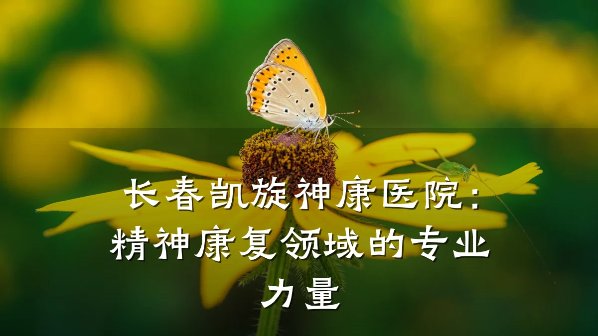 长春凯旋神康医院:精神康复领域的专业力量
