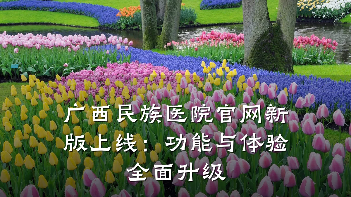 广西民族医院官网新版上线:功能与体验全面升级