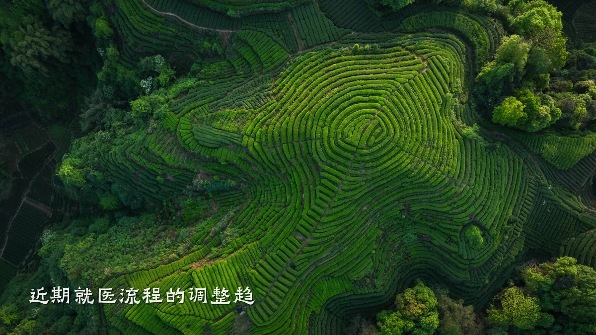近期就医流程的调整趋