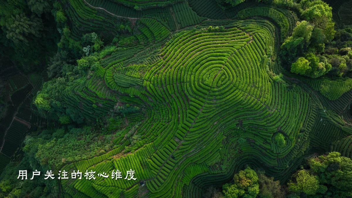 用户关注的核心维度